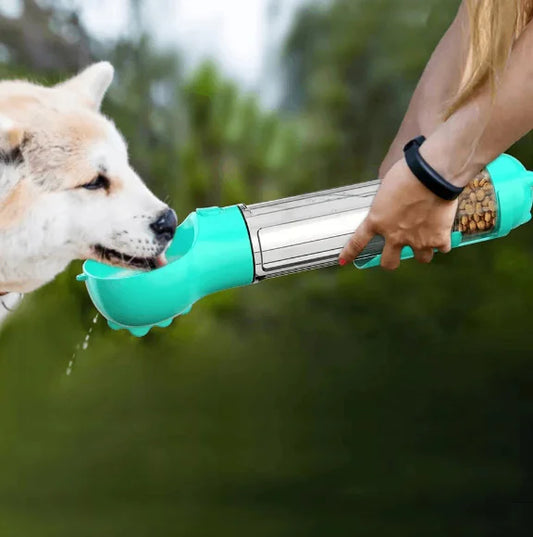 All-in-One Dog Hydration Station